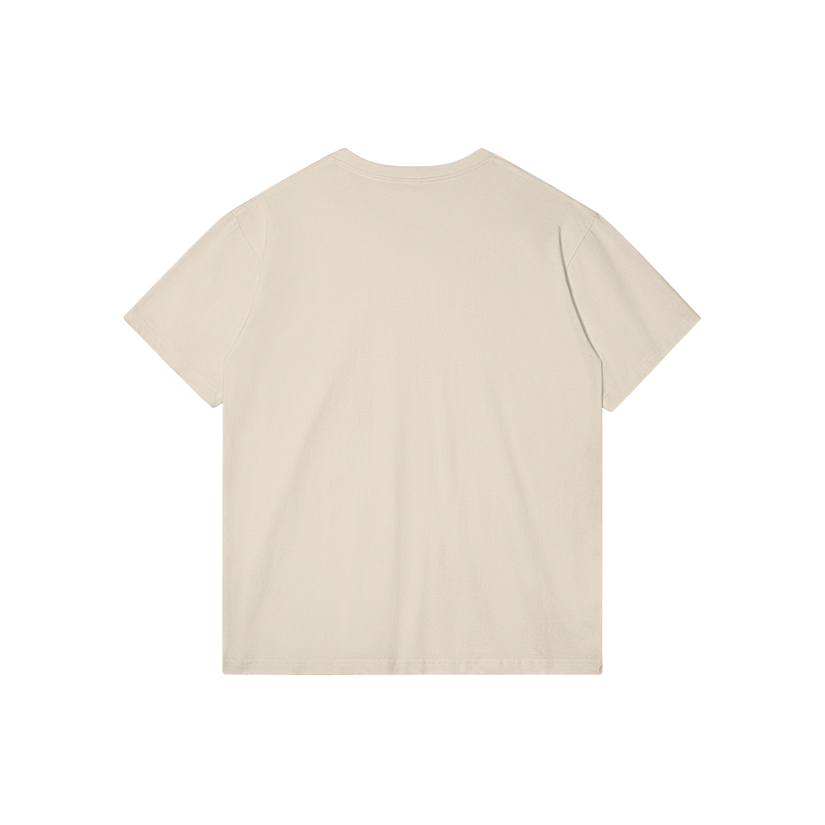 0-Y87-Back Side